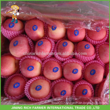 Pome Fruit Product Type And Organic Cultivation Type Apple Price Grade A Fresh Fuji Apple